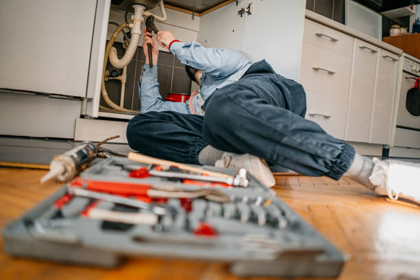 Best Drain Cleaning Services  in Desnso, CA
