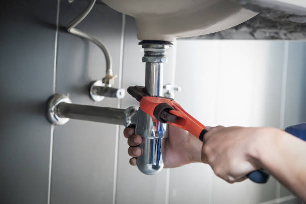 Best Clogged Drain Plumber  in Desnso, CA
